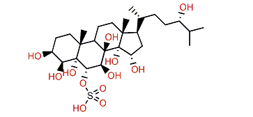 (24S)-5a-Cholestane-3b,4b,5,6a,7b,8,14,15a,24-nonol 6-sulfate